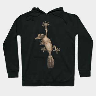 Uroplatus Fimbriatus Hoodie